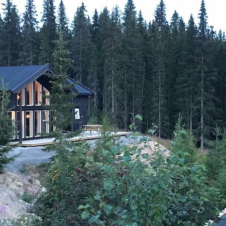 Lillebjorn Villa Trysil Dış mekan fotoğraf