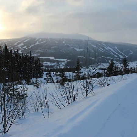 Lillebjorn Villa Trysil Dış mekan fotoğraf