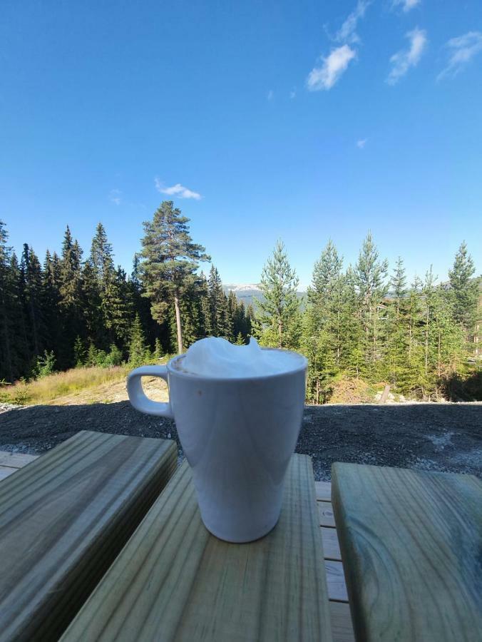 Lillebjorn Villa Trysil Dış mekan fotoğraf