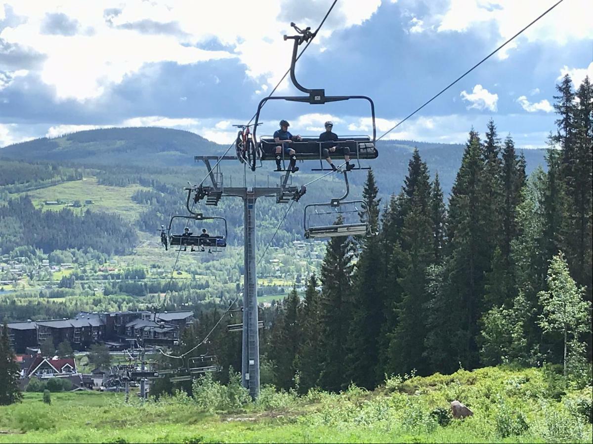 Lillebjorn Villa Trysil Dış mekan fotoğraf