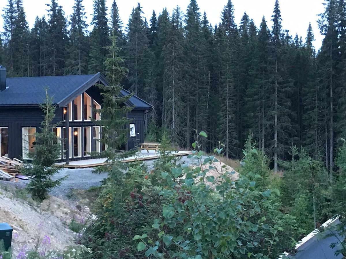 Lillebjorn Villa Trysil Dış mekan fotoğraf