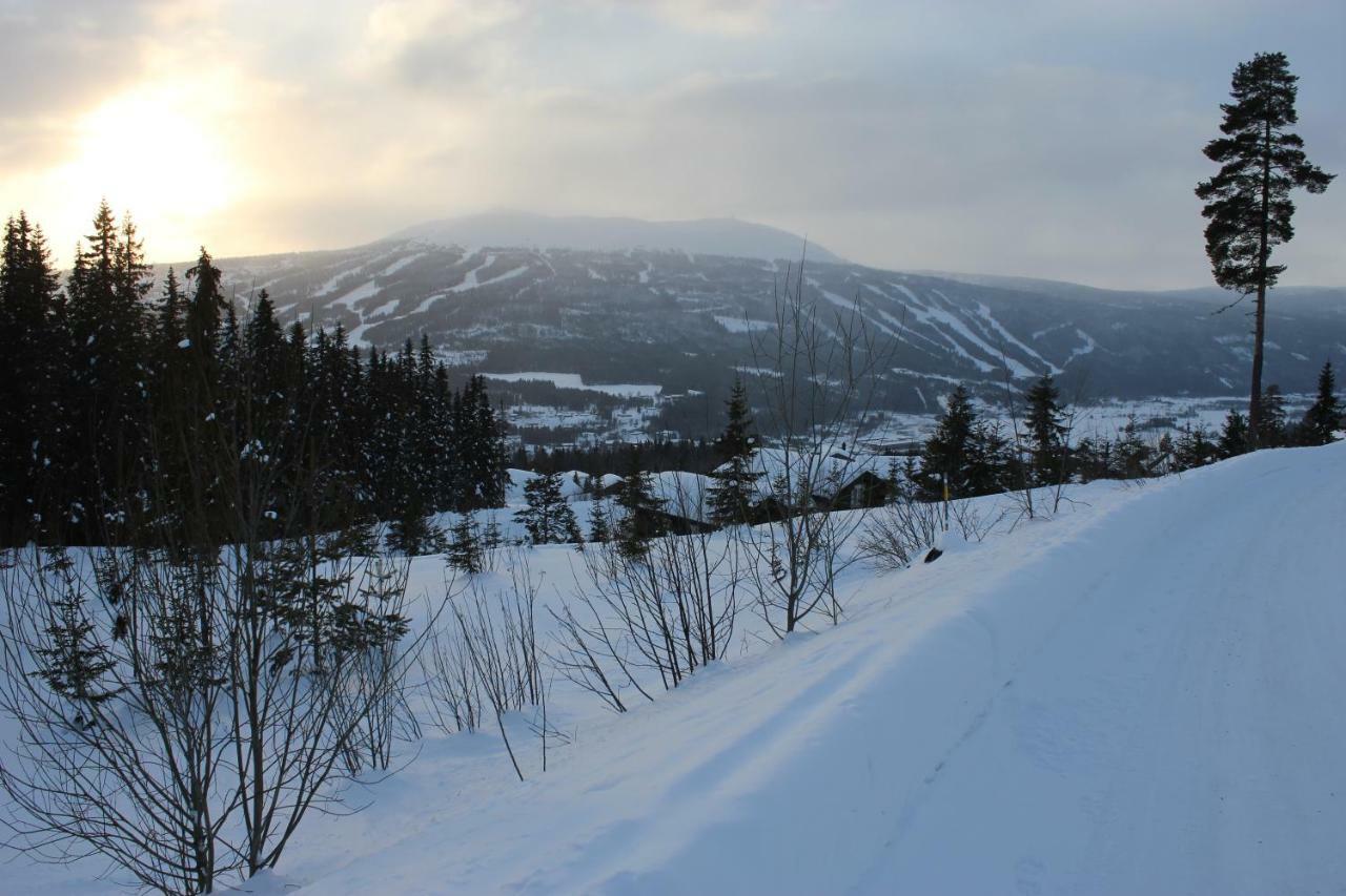Lillebjorn Villa Trysil Dış mekan fotoğraf