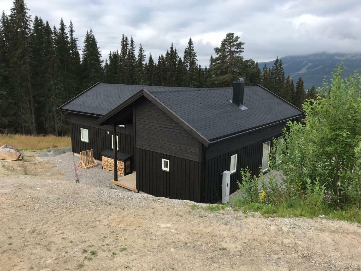 Lillebjorn Villa Trysil Dış mekan fotoğraf